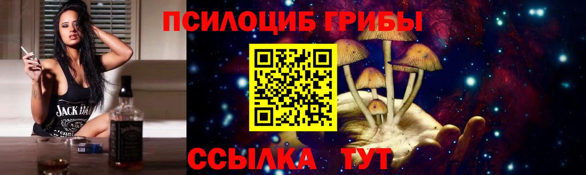 Коломна  где продают   Вход с VPN  Псилоцибиновые грибы Magic Shrooms  Псилоцибиновые грибы прущие грибы 